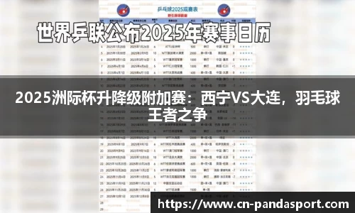 2025洲际杯升降级附加赛：西宁VS大连，羽毛球王者之争