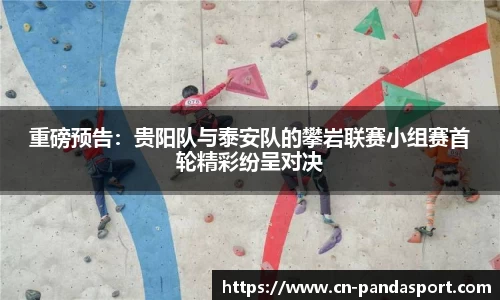 熊猫体育