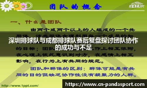 熊猫体育