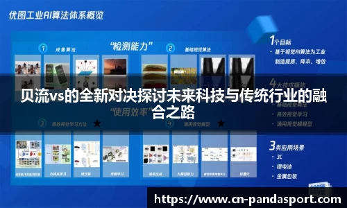 贝流vs的全新对决探讨未来科技与传统行业的融合之路
